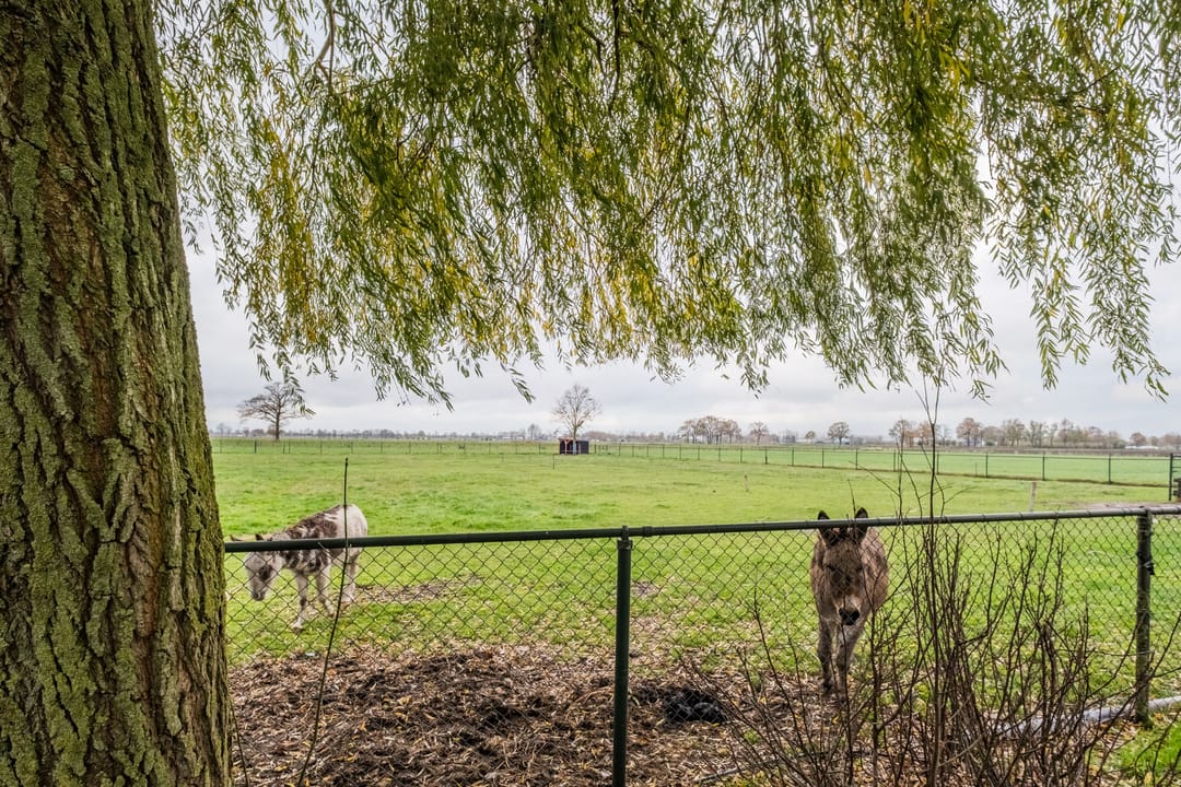 Foto 46 van Jekschotstraat 11-A