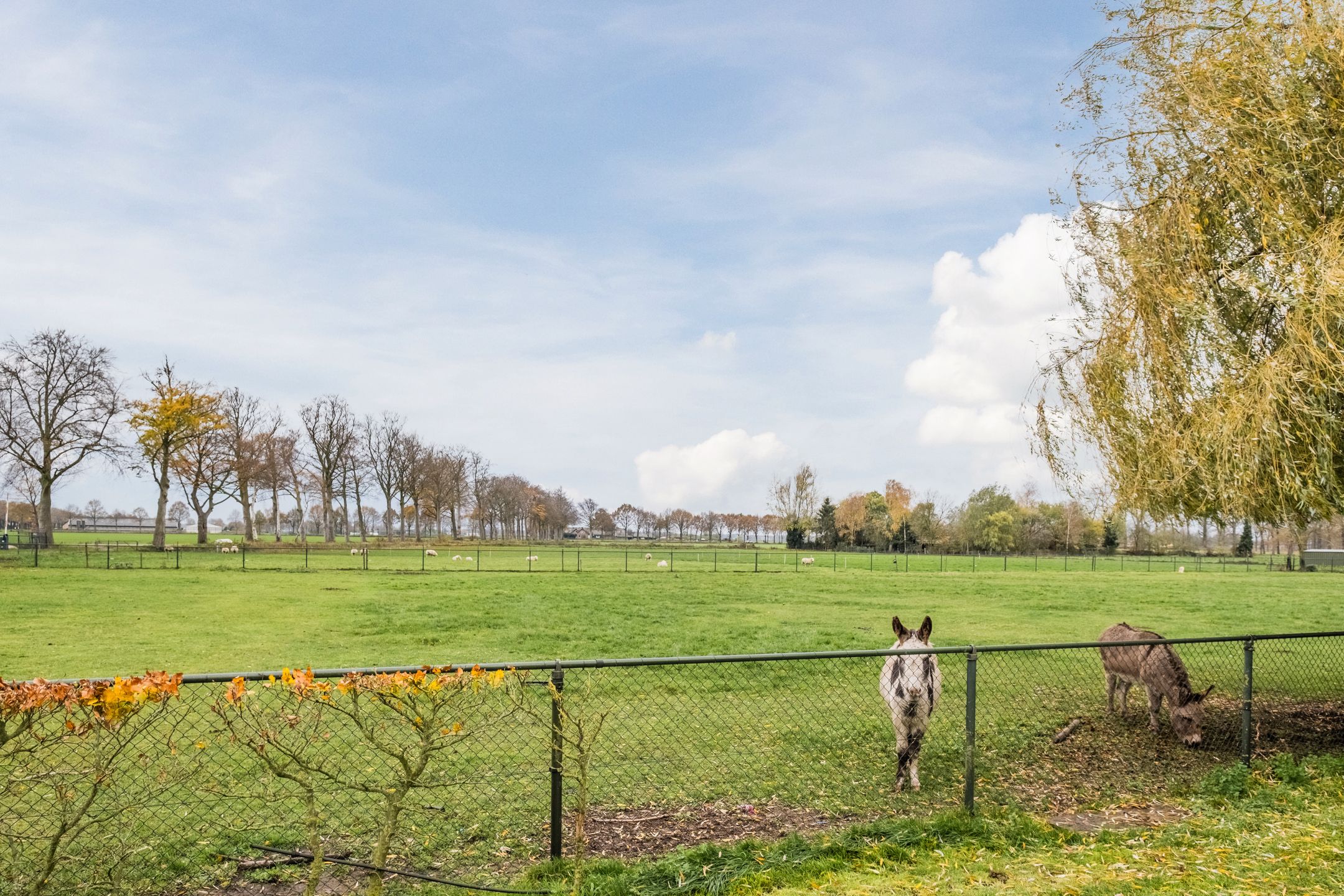 Foto 45 van Jekschotstraat 11-A