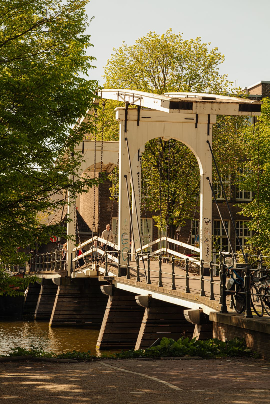Photo 38 of Planciusstraat 17-E