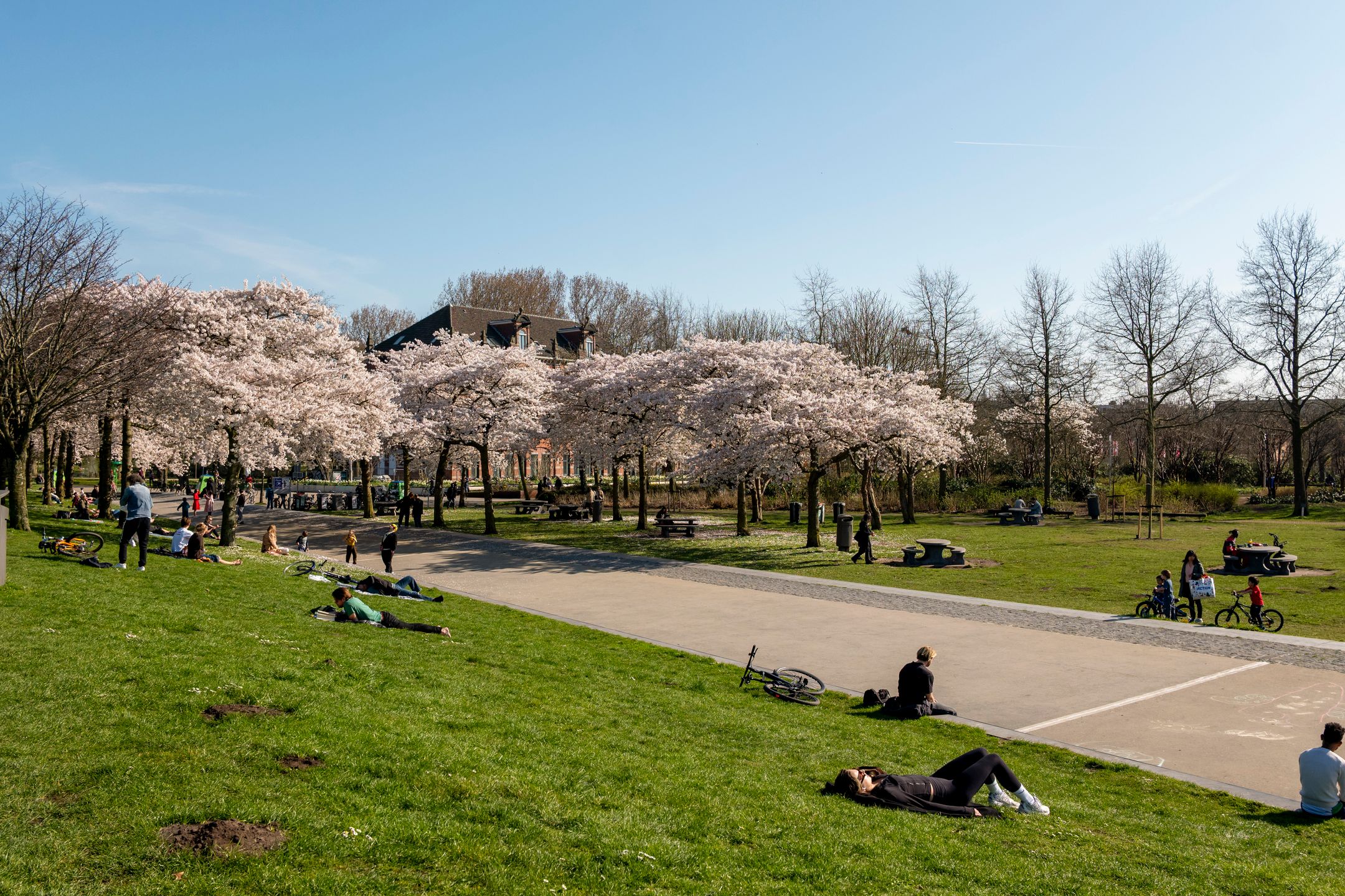 Photo 51 of Planciusstraat 17-E