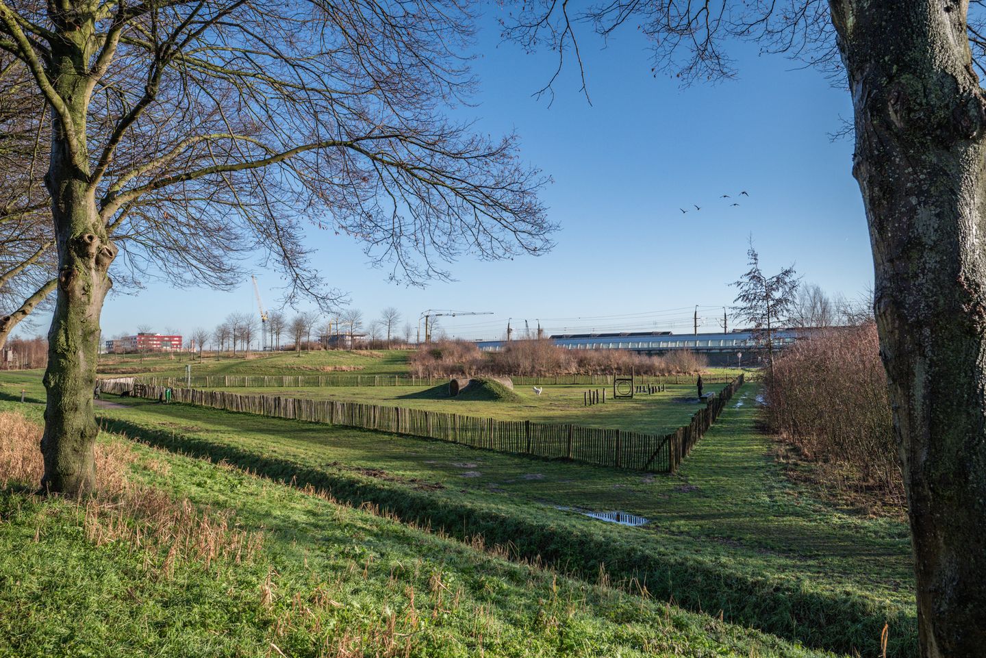 Foto 40 van Bremstraat 7