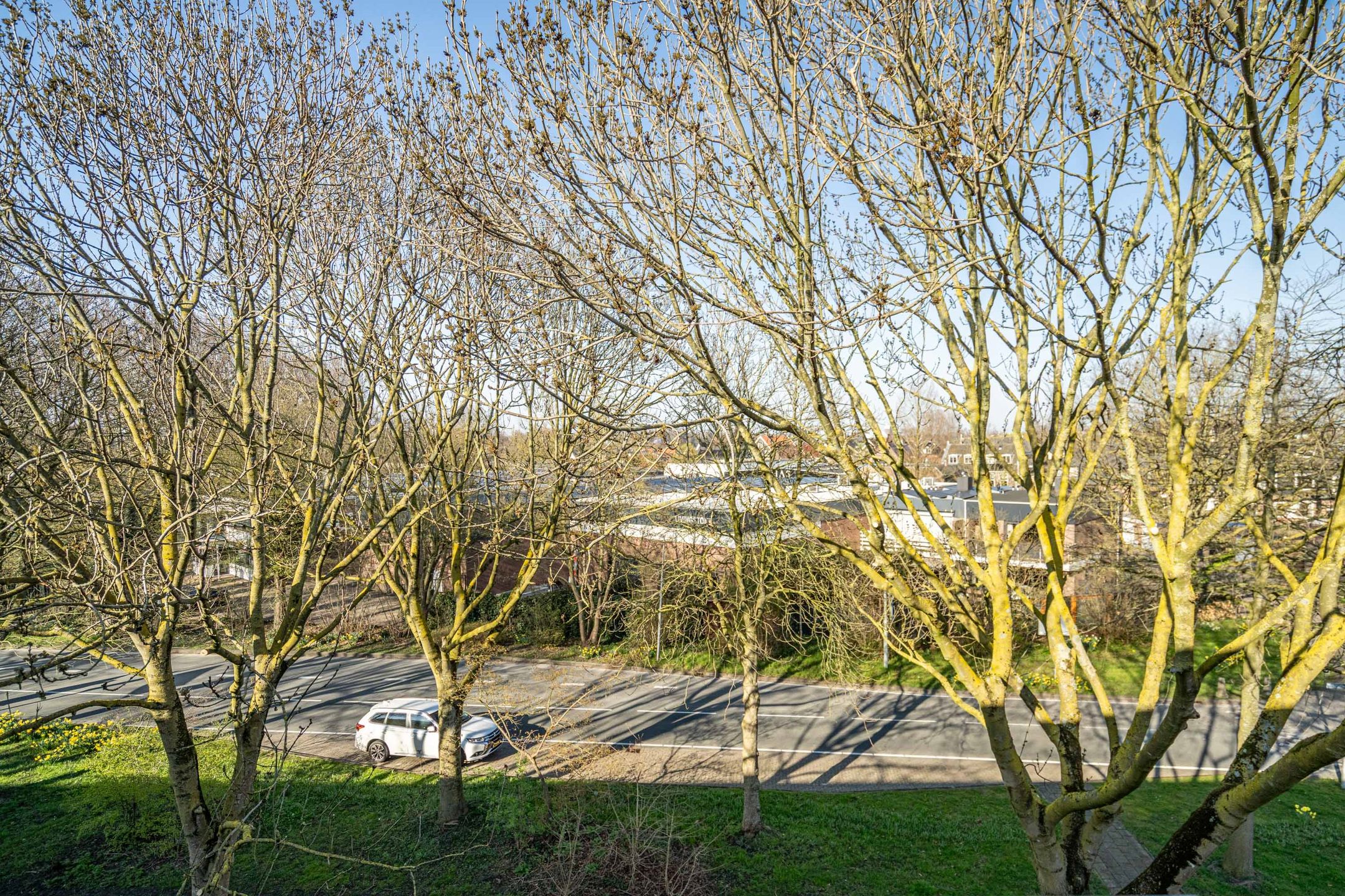 Foto 30 van Burgemeester Wapstraat 66