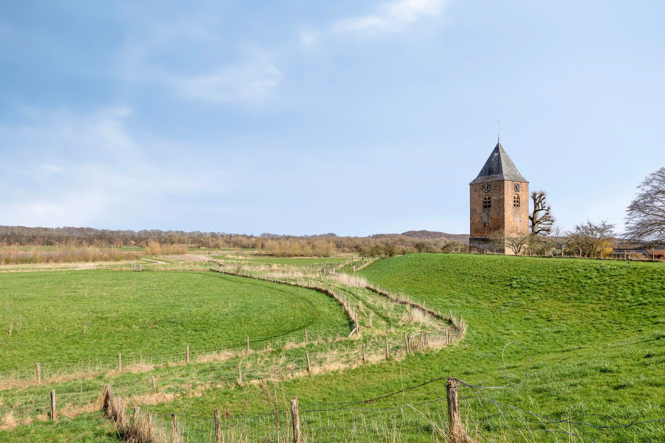 Foto 36 van Ligusterstraat 17