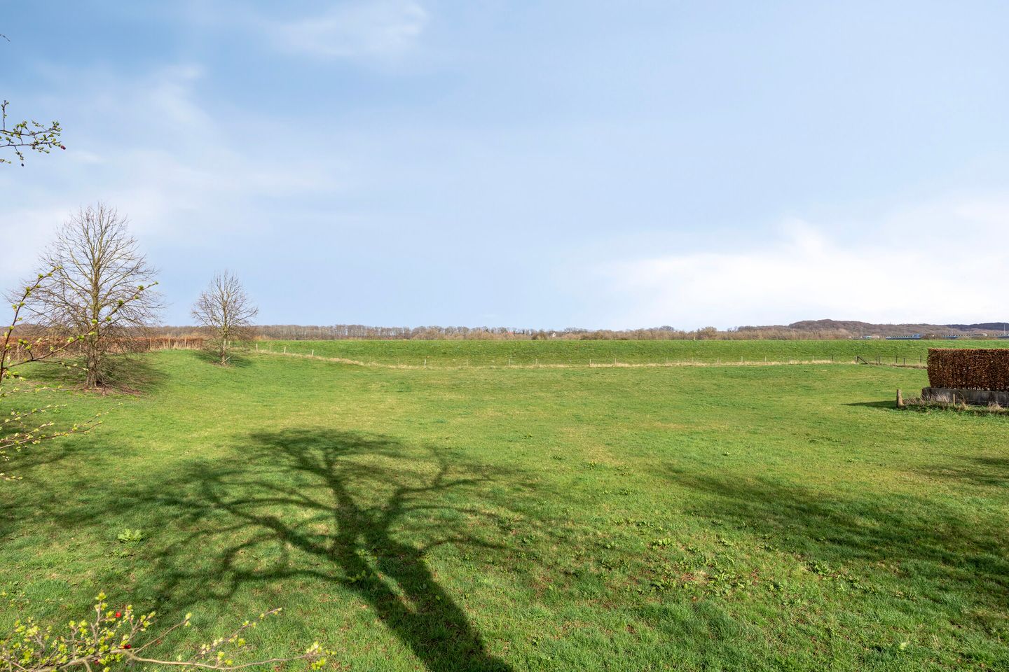 Foto 35 van Ligusterstraat 17