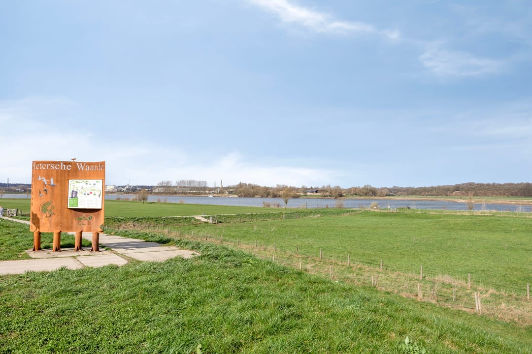 Foto 37 van Ligusterstraat 17