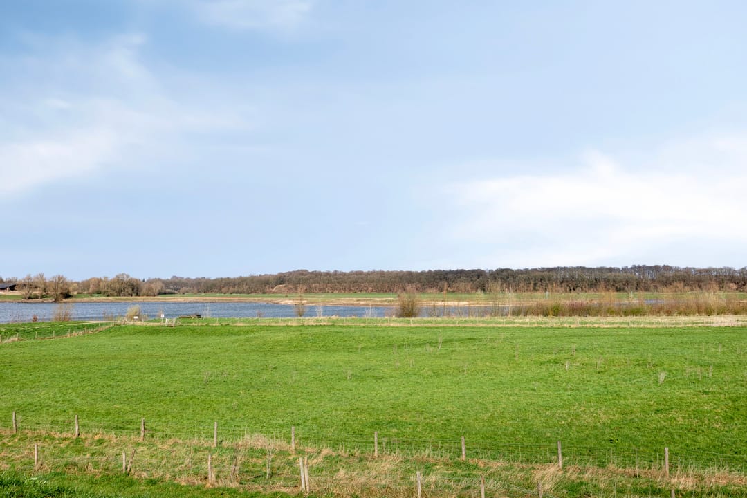 Foto 38 van Ligusterstraat 17