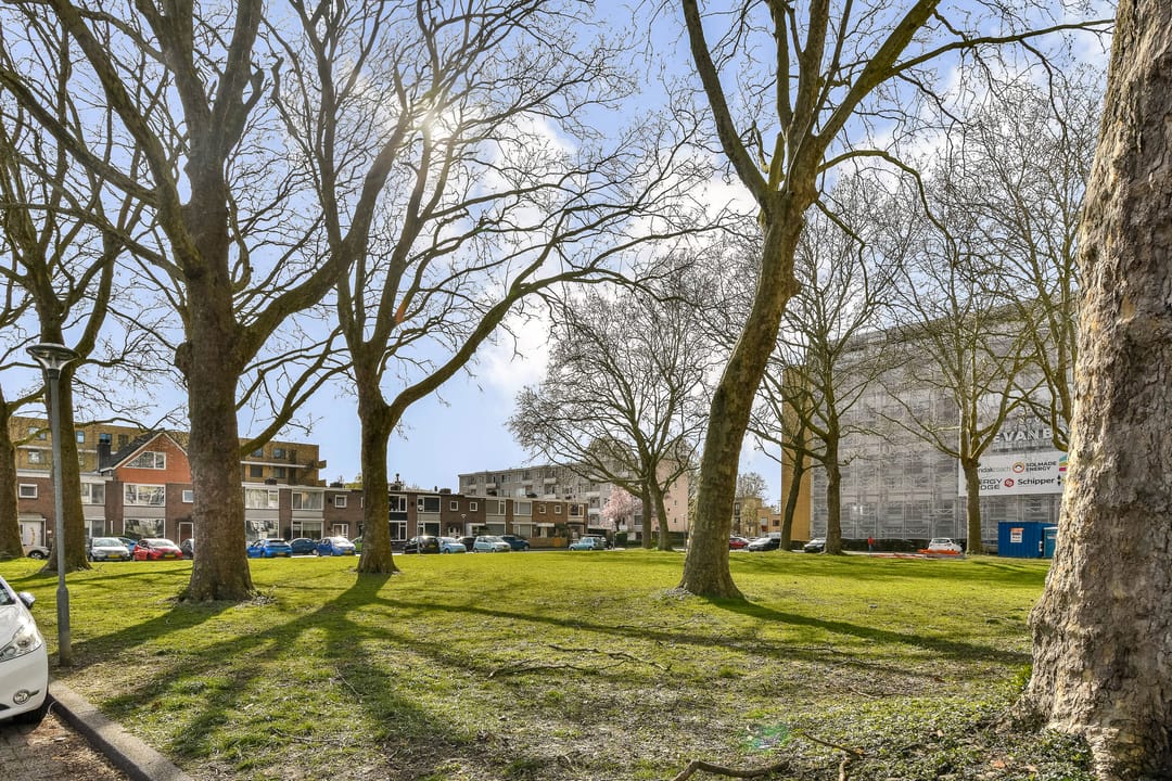 Foto 28 van Van Bosseplantsoen 127