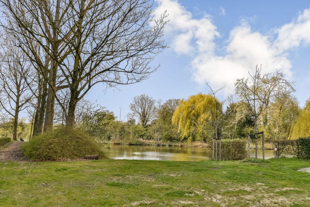 Foto 26 van Van Bosseplantsoen 127