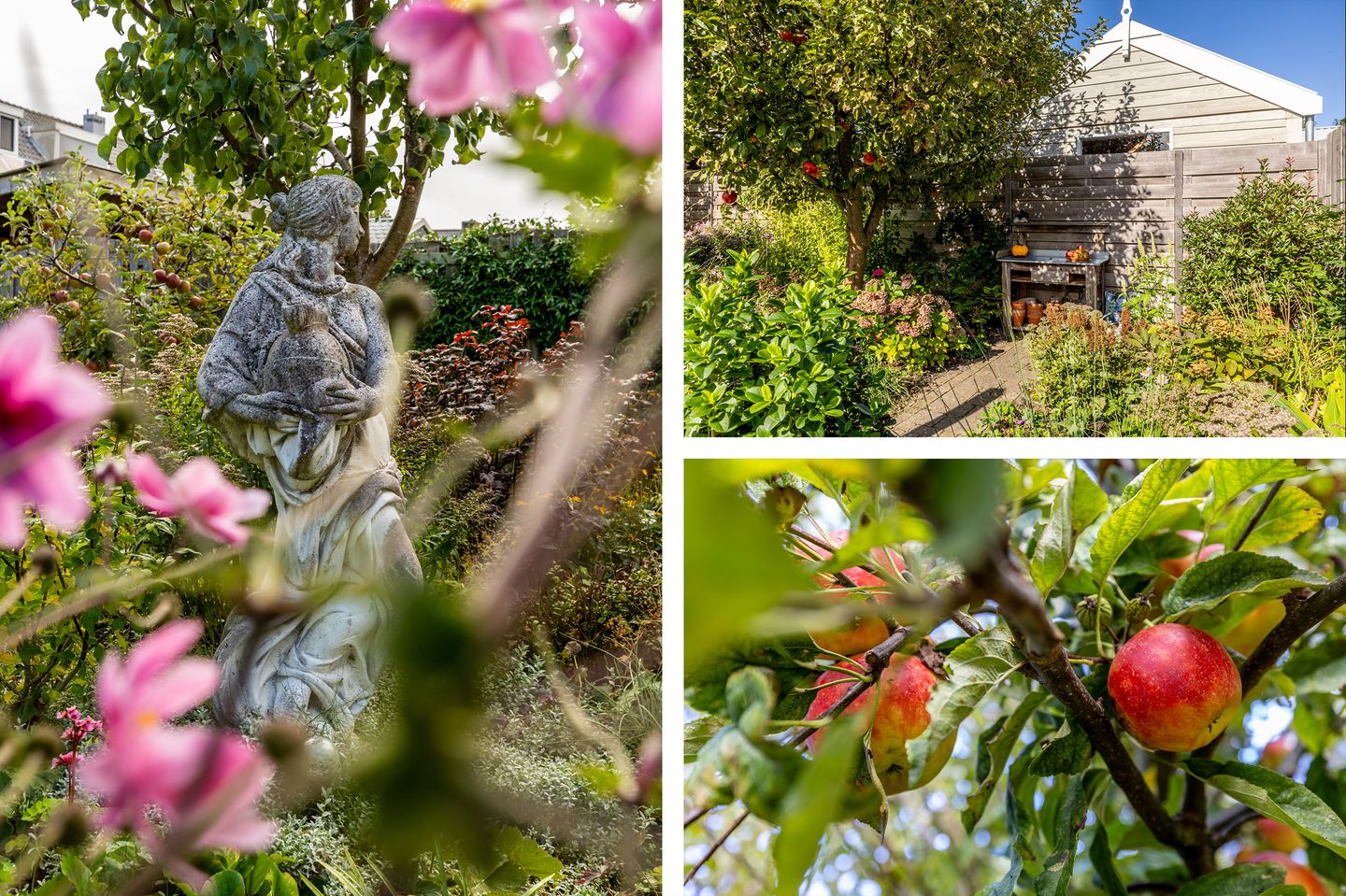 Foto 49 van Timmermanswerf 12