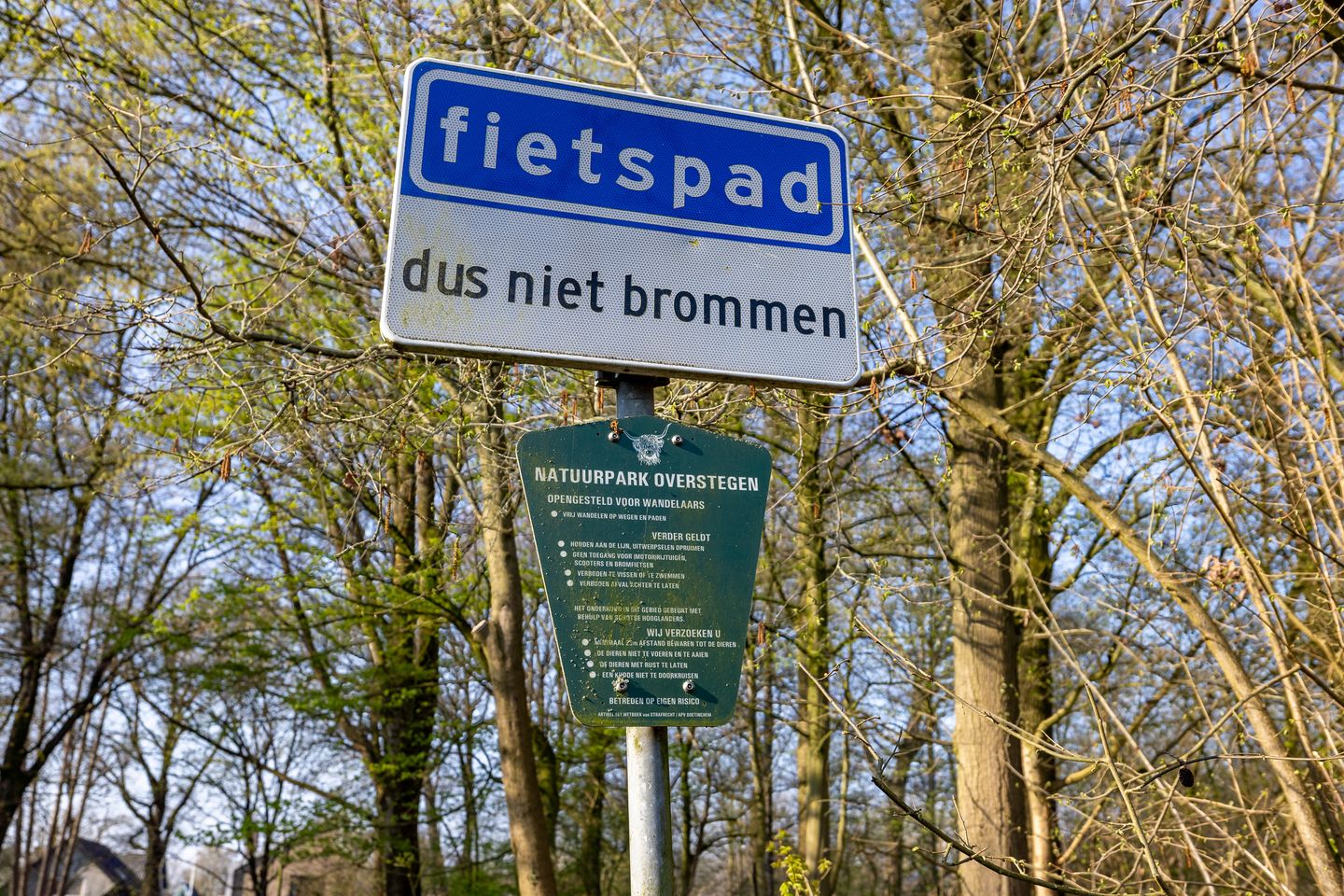 Foto 44 van Swammerdamlaan 31