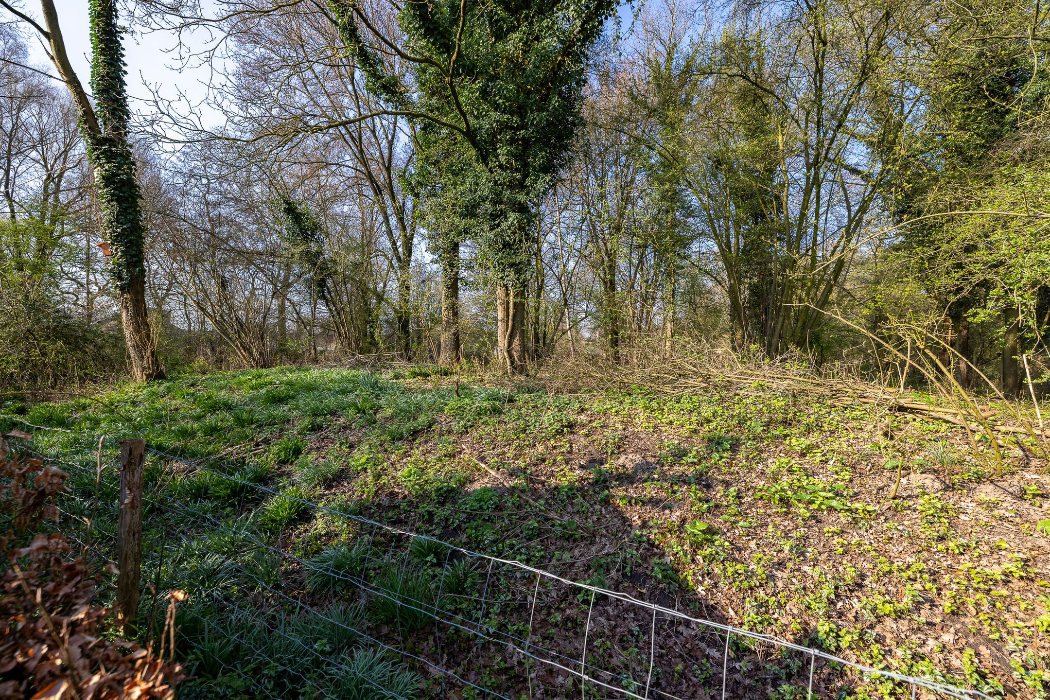 Foto 45 van Swammerdamlaan 31