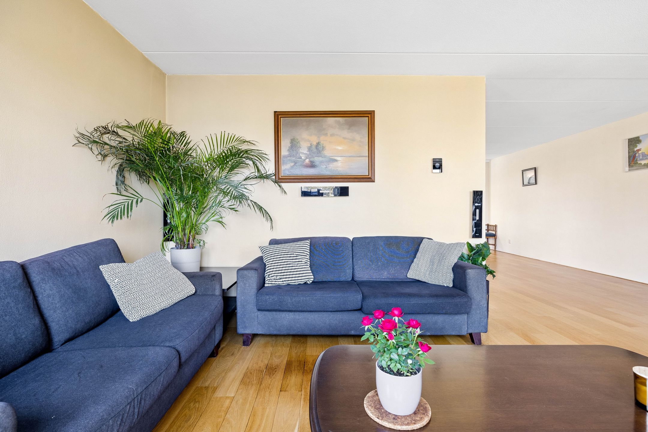 Foto 6 van Romulus 33