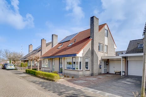 Prunuslaan thumbnail