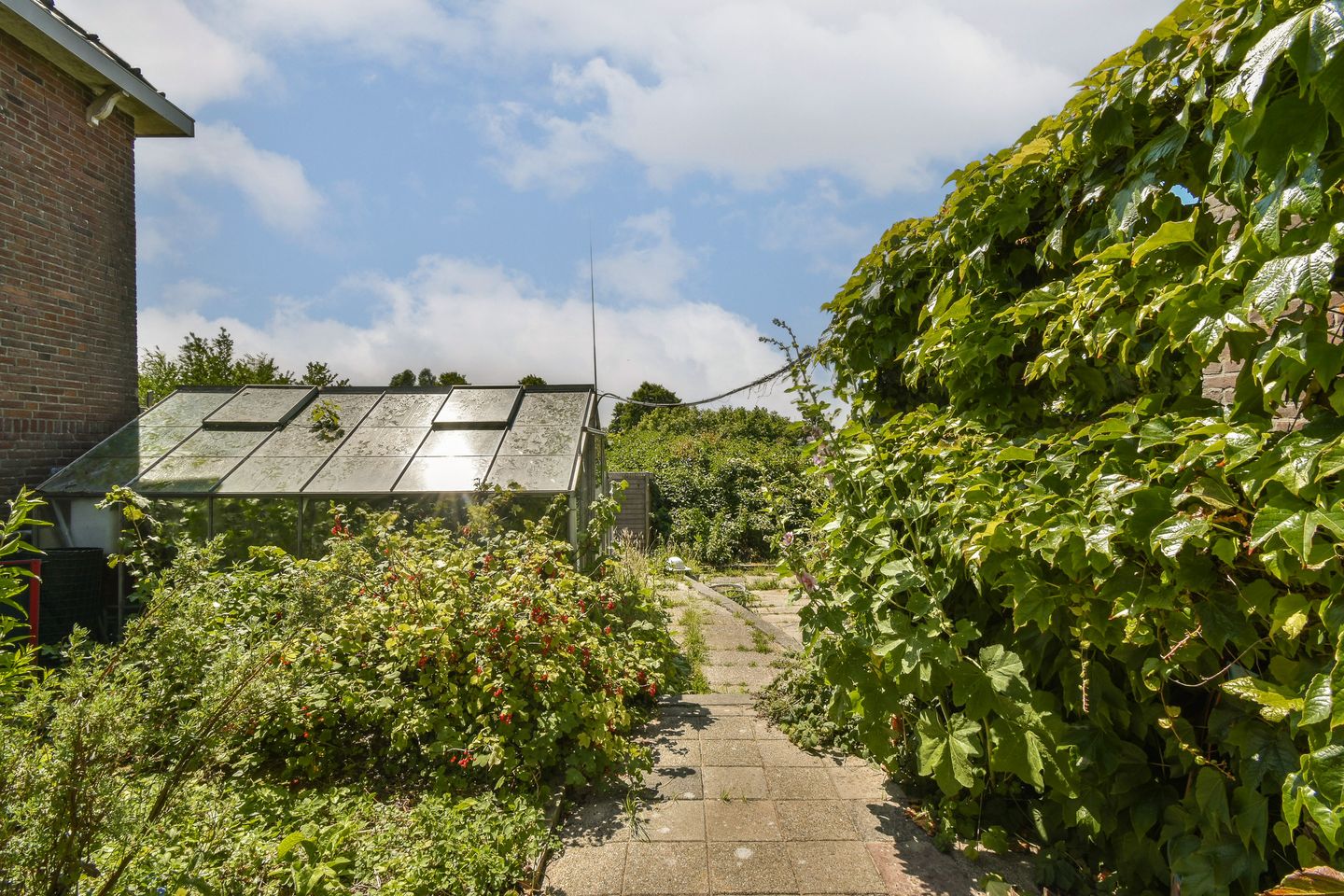 Foto 35 van Lijnderdijk 235