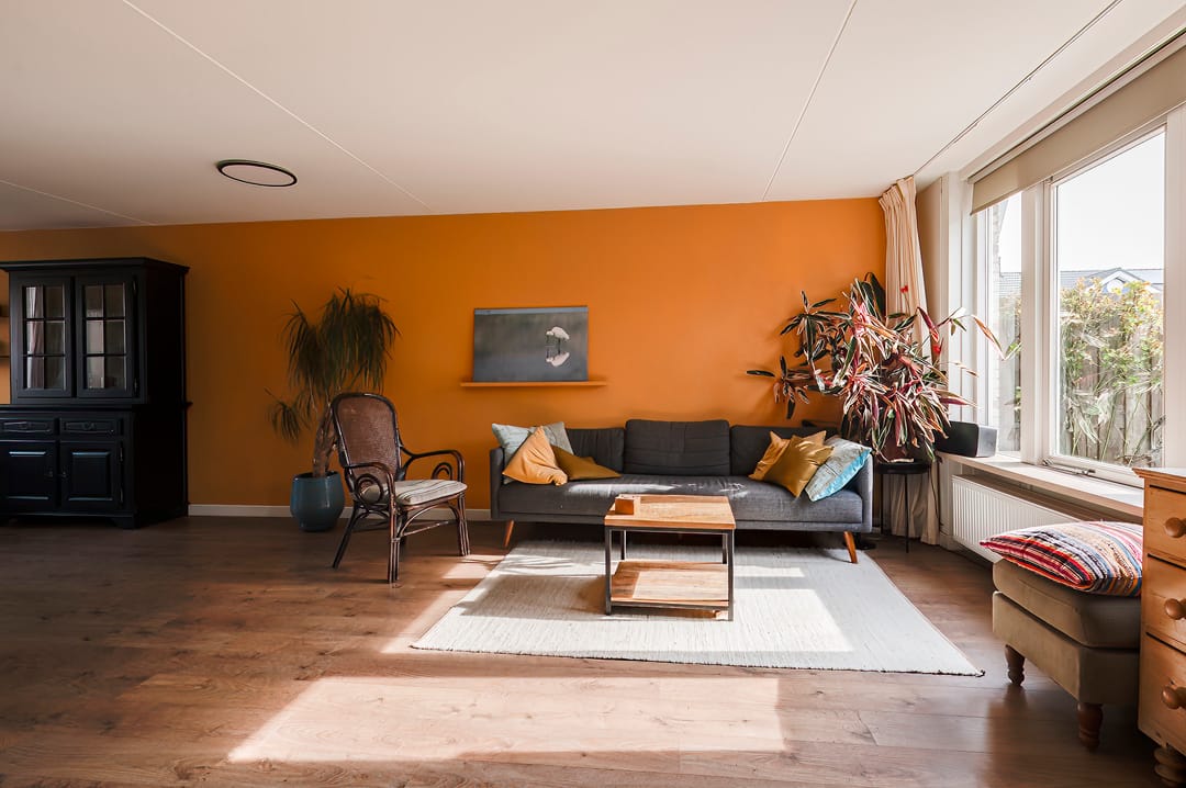 Foto 13 van Neptunus 61