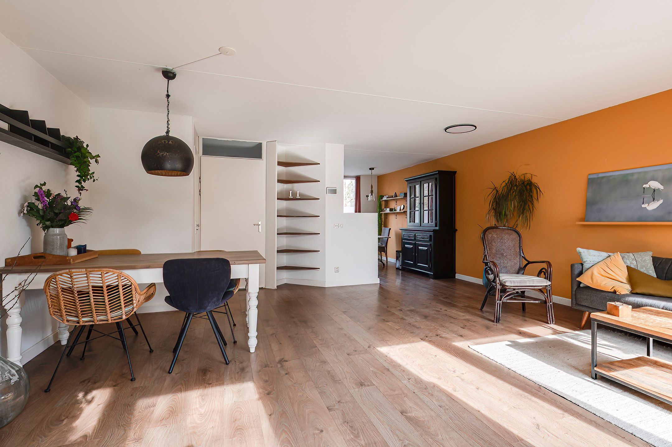 Foto 12 van Neptunus 61