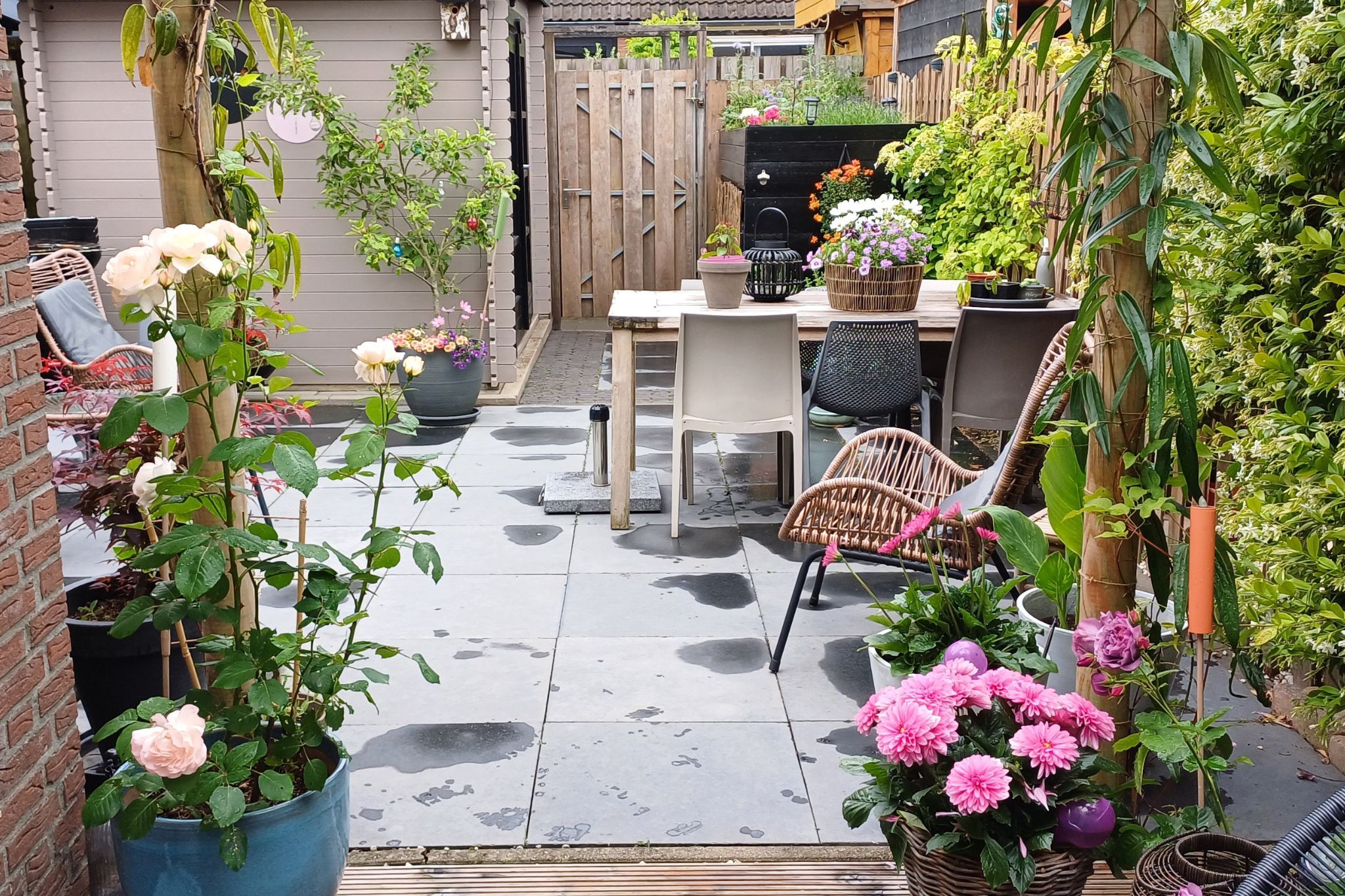 Photo 15 of Olykamp 94