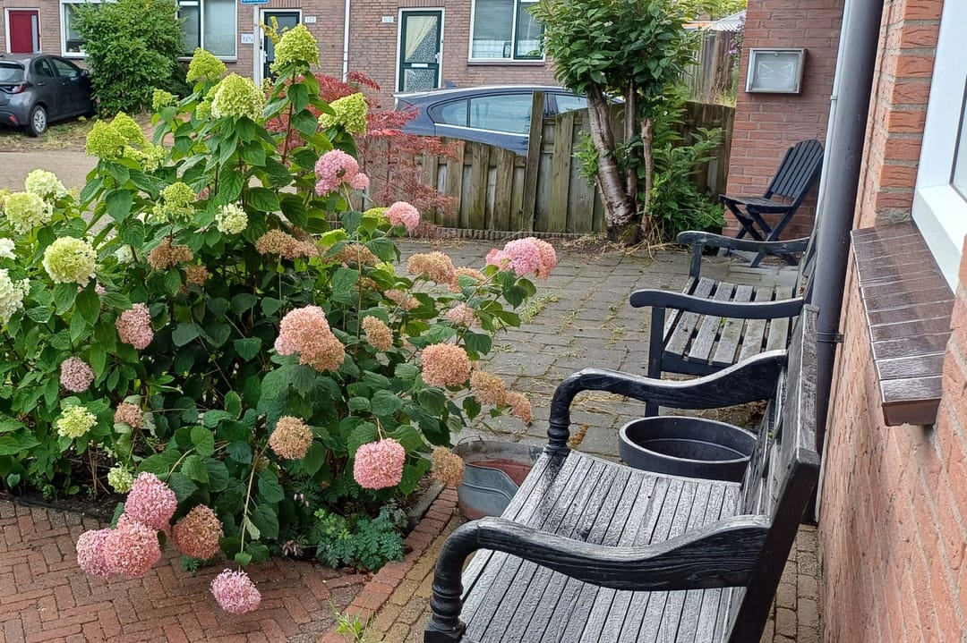 Photo 31 of Olykamp 94