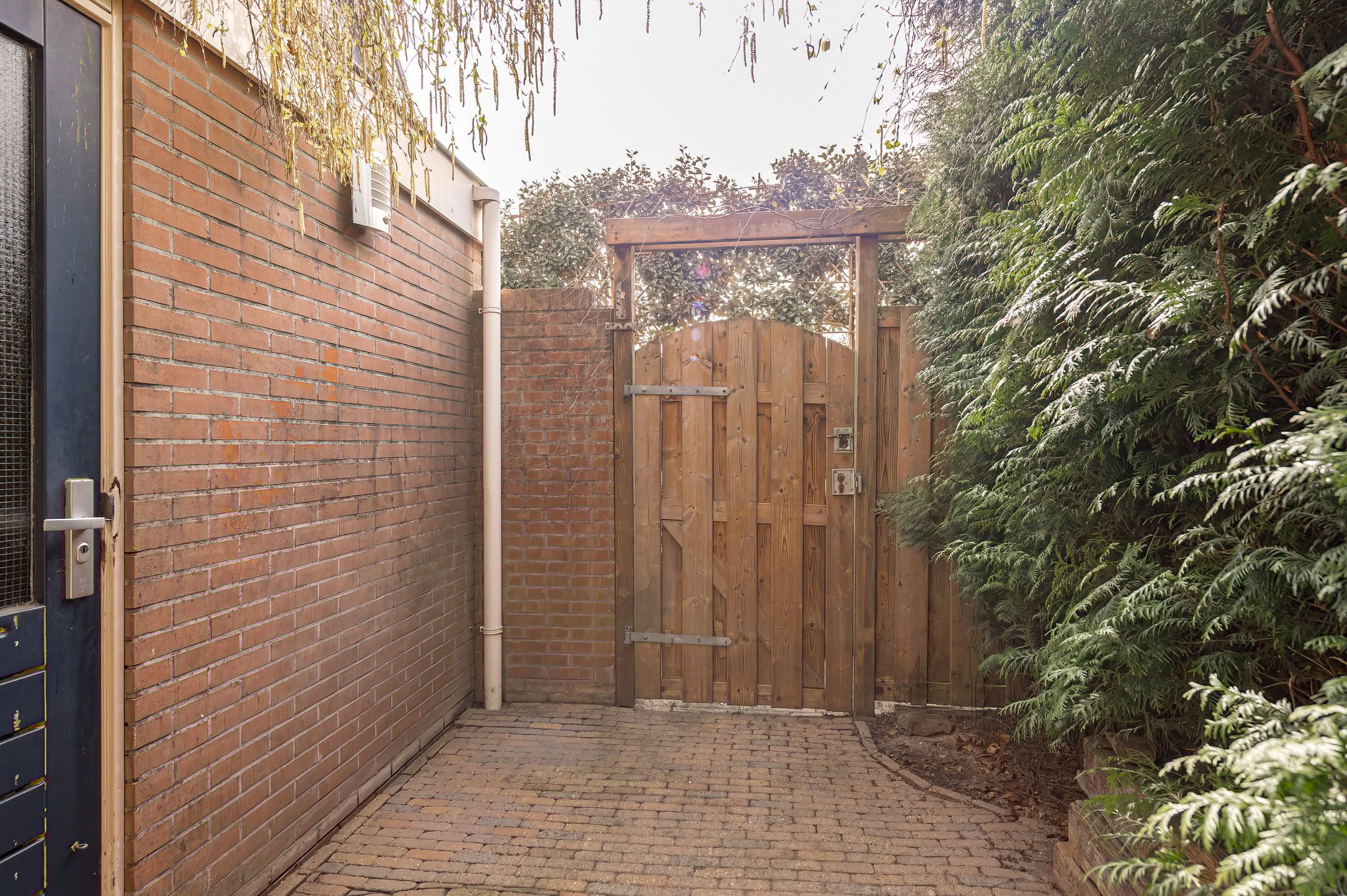 Foto 24 van Neptunus 61