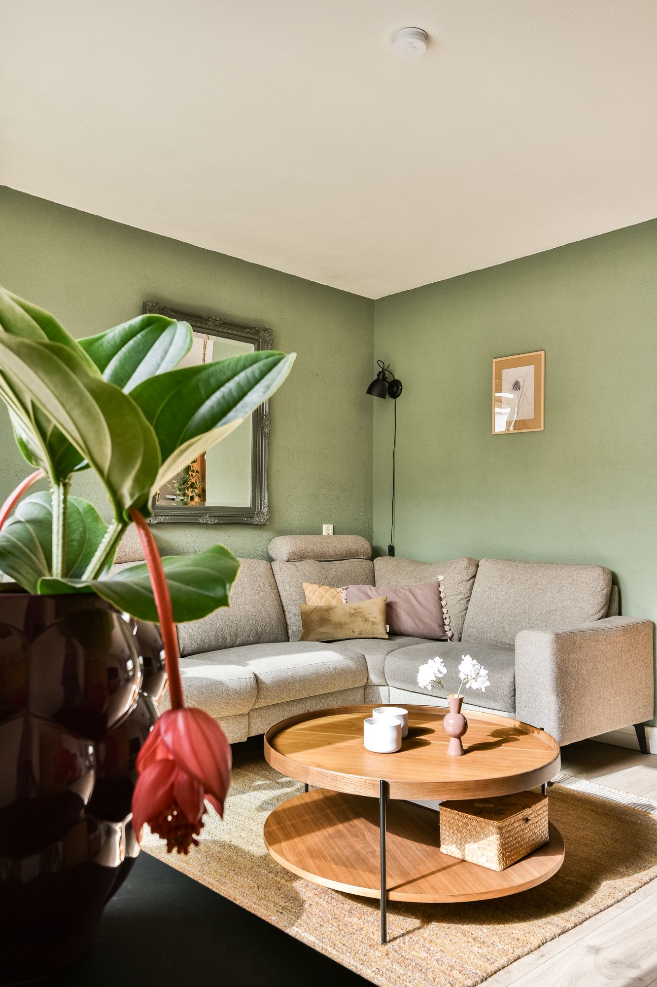 Photo 9 of Olykamp 94