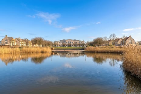 Neptunus 61 tertiary image