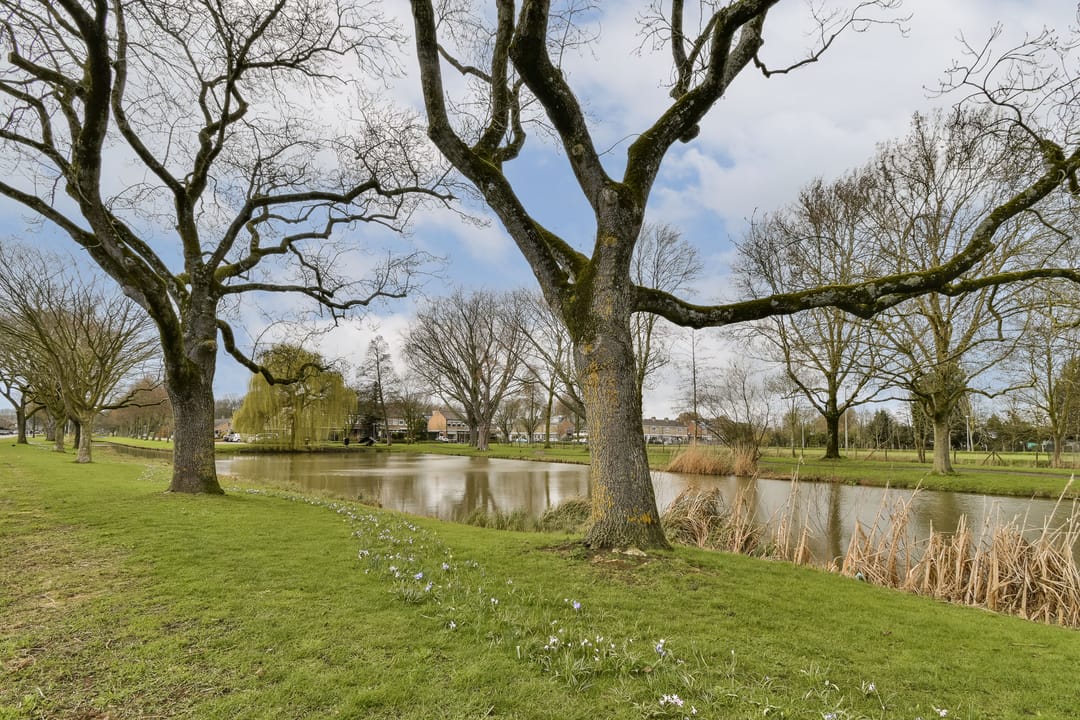 Foto 31 van Acaciastraat 15