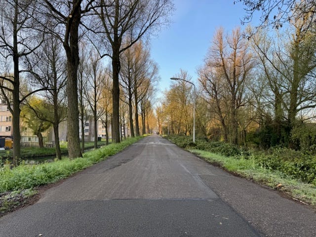 Foto 5 van Zuidendijk
