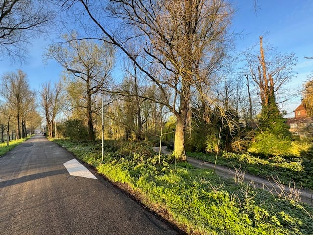 Foto 4 van Zuidendijk