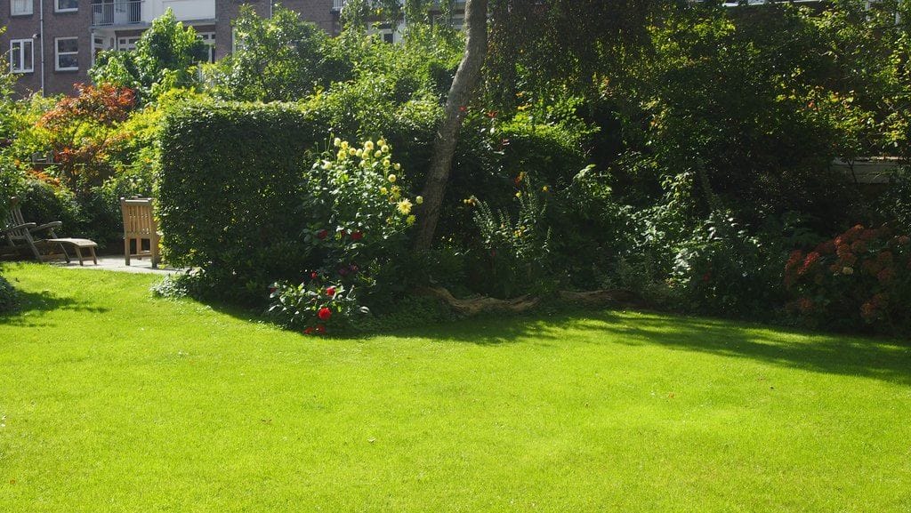 Photo 23 of Sloterkade 157-C