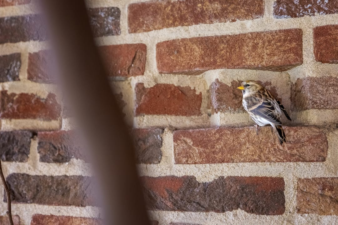 Foto 41 van Hopland 42