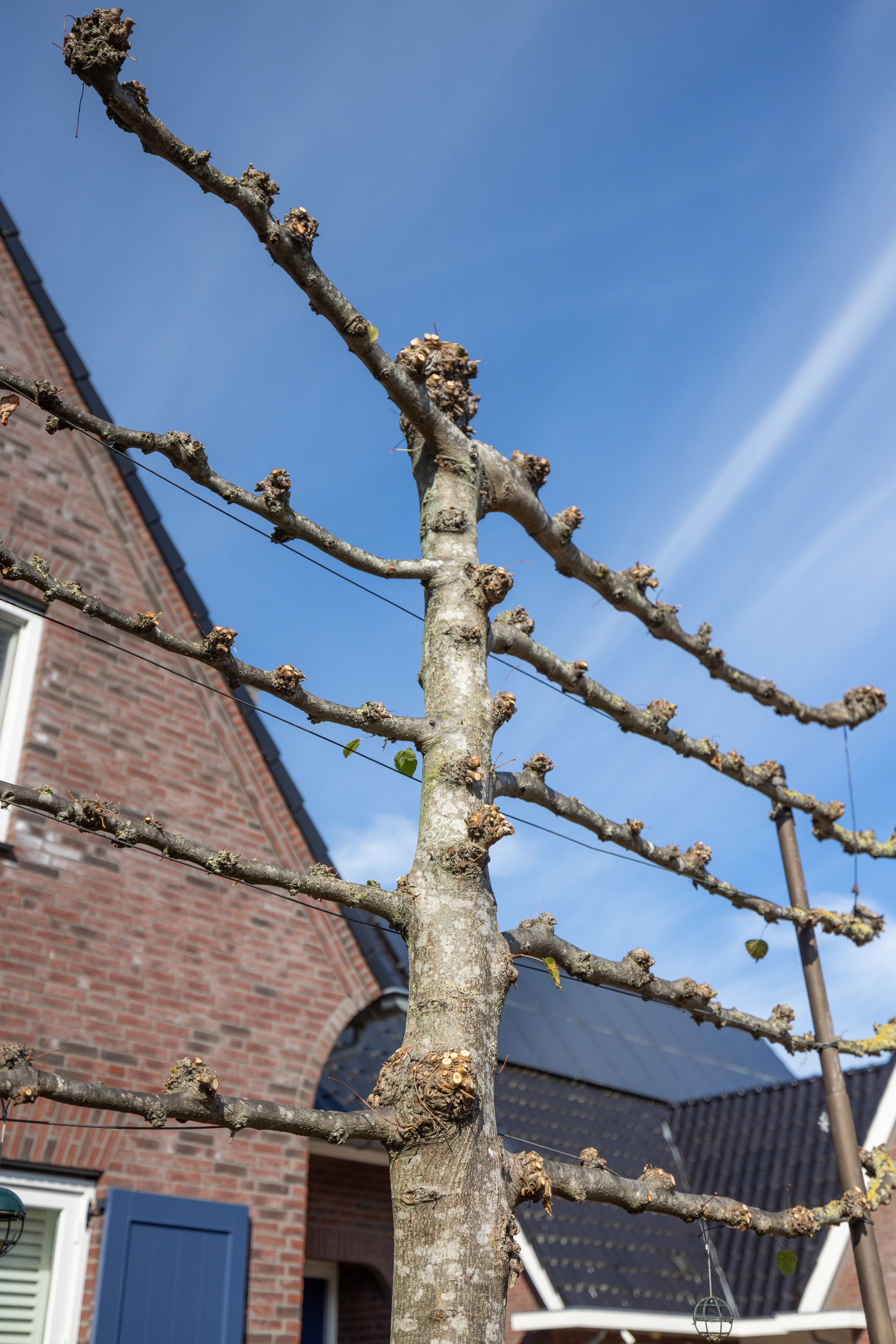 Foto 51 van Hopland 42