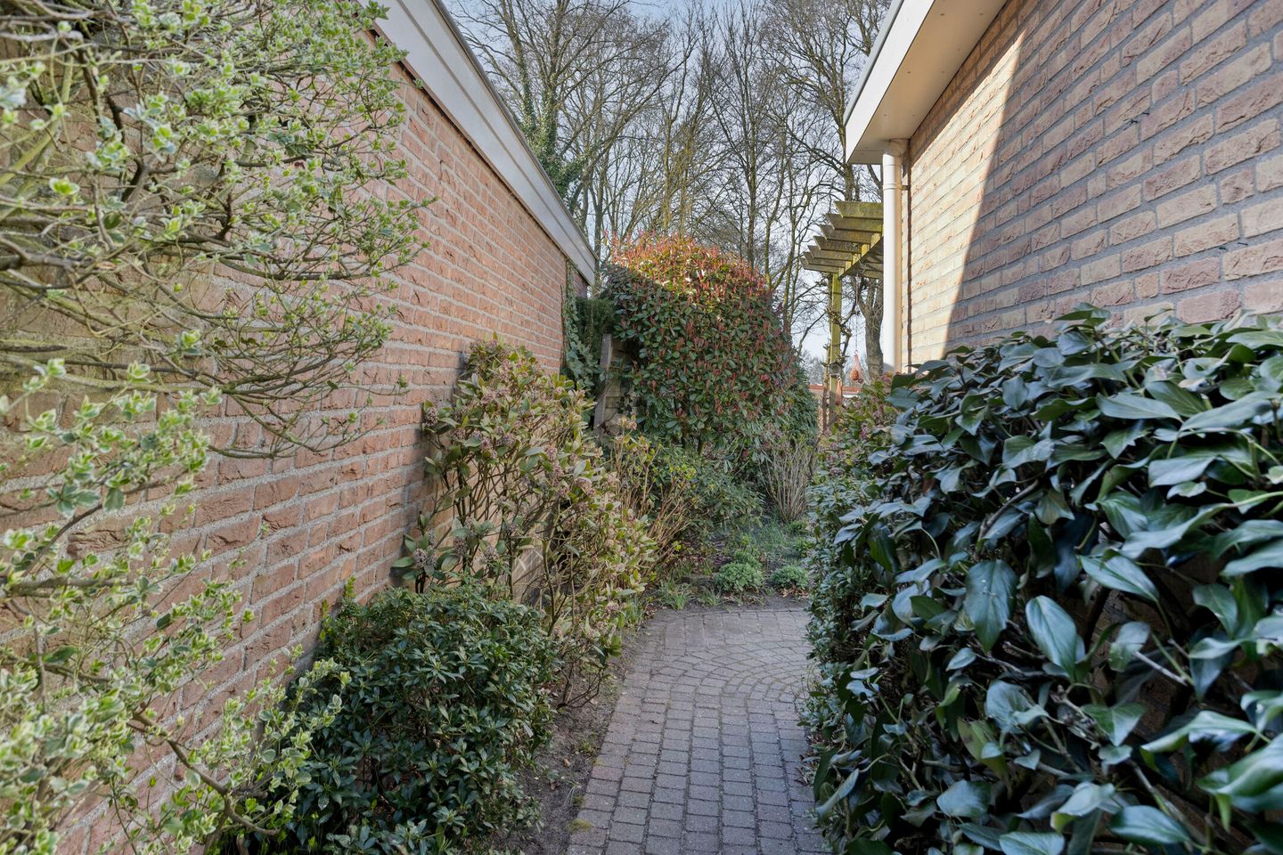 Photo 49 of Verlengde Meidoornstraat 30