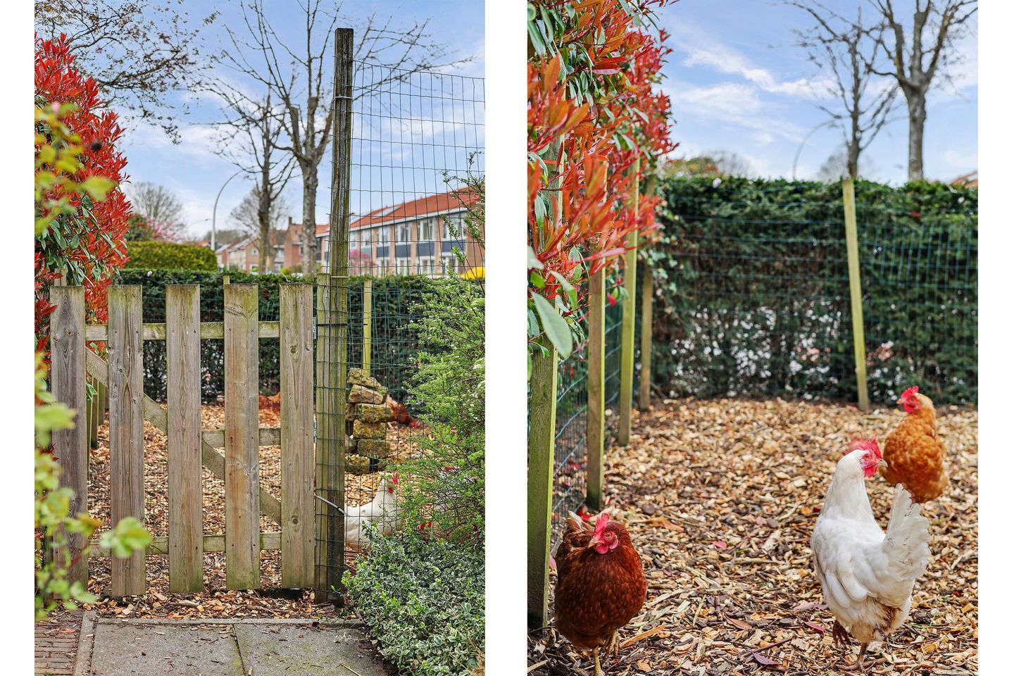 Photo 29 of Julianastraat 90