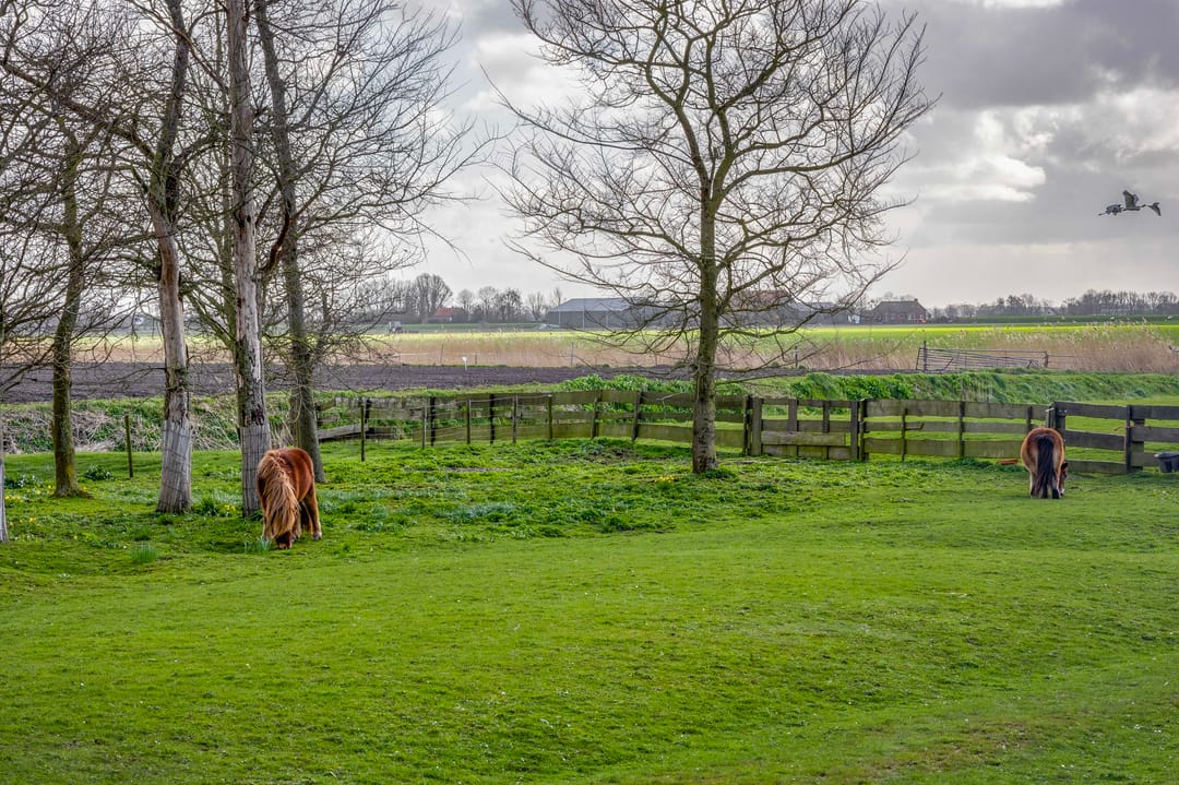 Modernised Country Estate with Equestrian Facilities Near the North Sea Coast — 62
