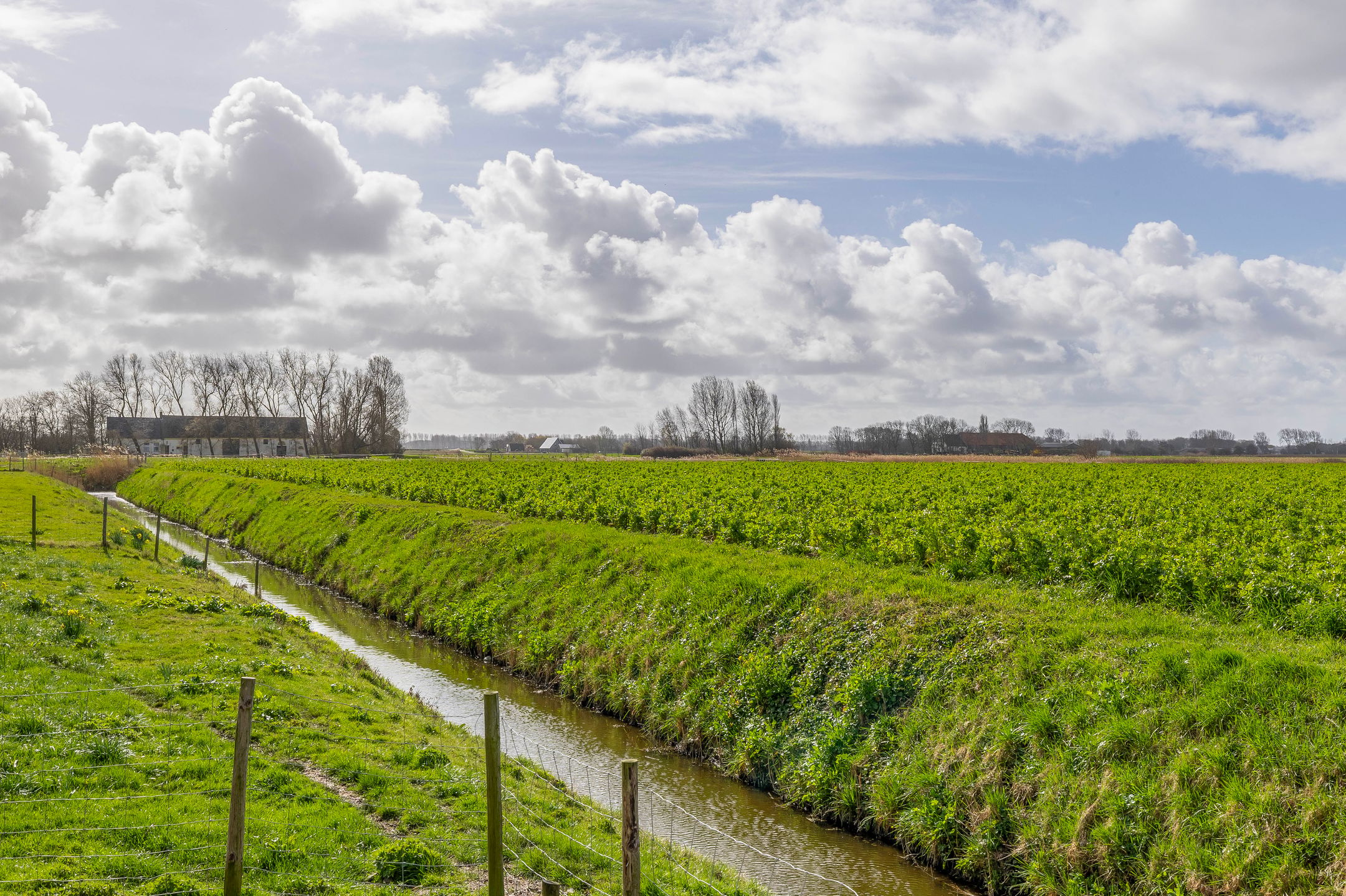 Modernised Country Estate with Equestrian Facilities Near the North Sea Coast — 81