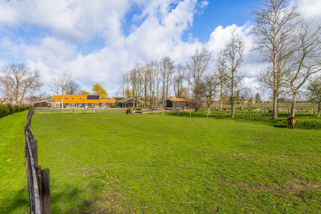 Modernised Country Estate with Equestrian Facilities Near the North Sea Coast — 77