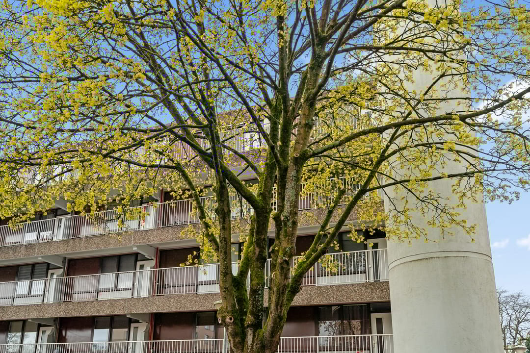 Foto 2 van Hogeweg 13-F