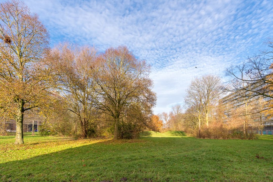 Bright apartment with two balconies and green views in Holtenbroek — 45