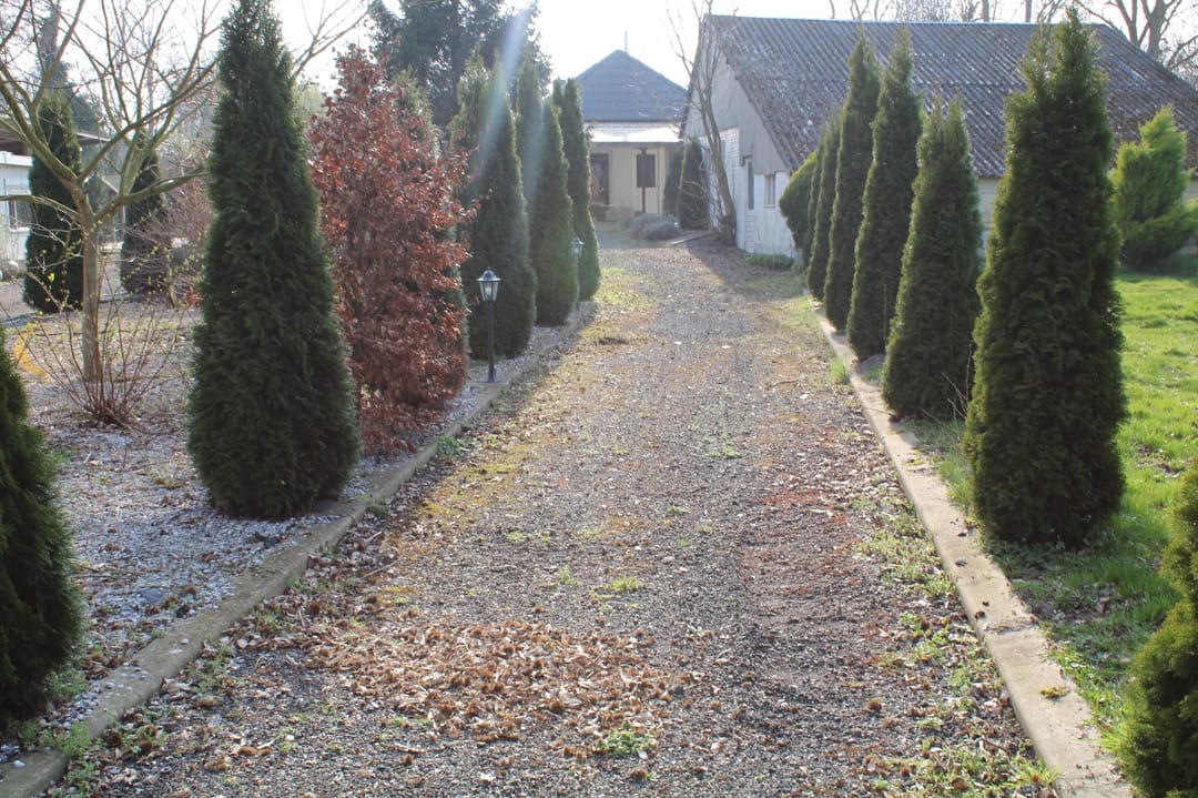 Foto 52 van Zuideinde Oost 10