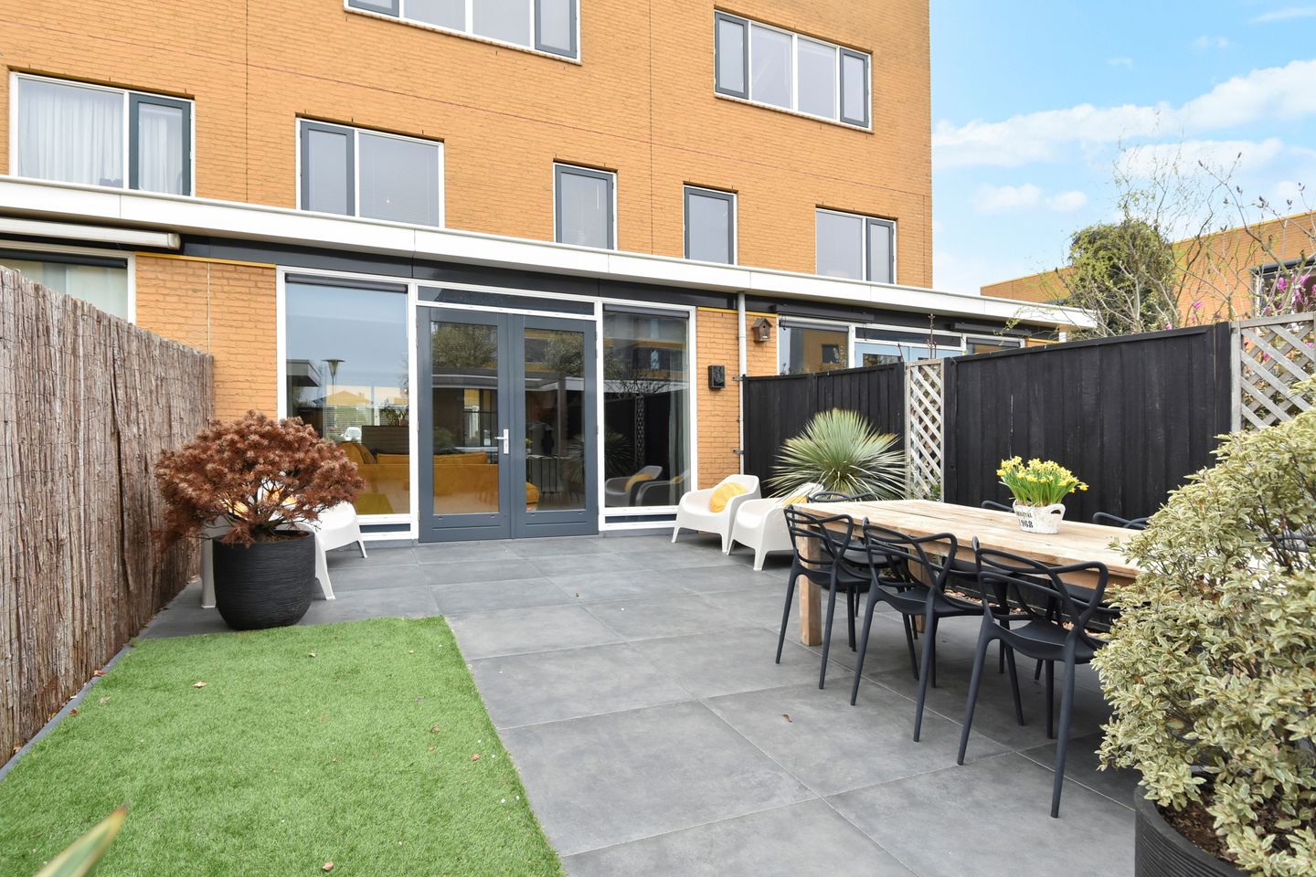 Foto 50 van Zeepaddestoel 3