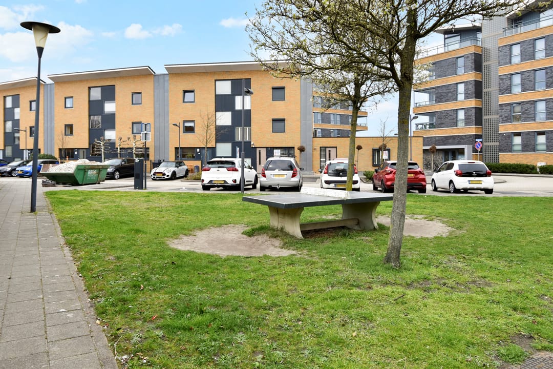 Foto 53 van Zeepaddestoel 3