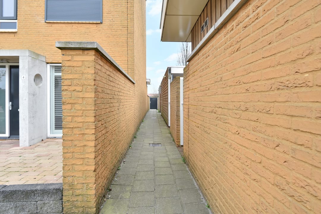 Foto 52 van Zeepaddestoel 3