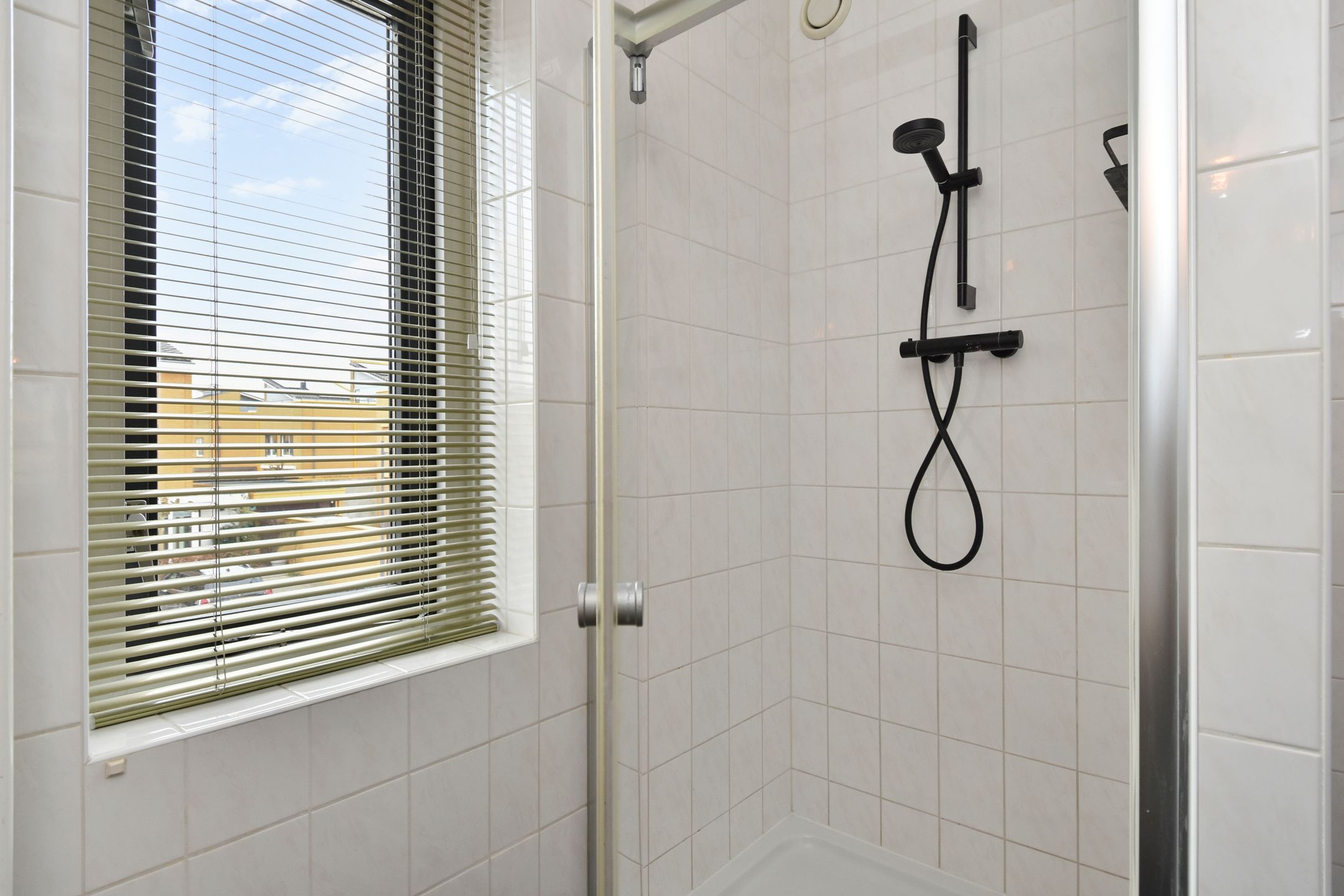 Foto 33 van Zeepaddestoel 3