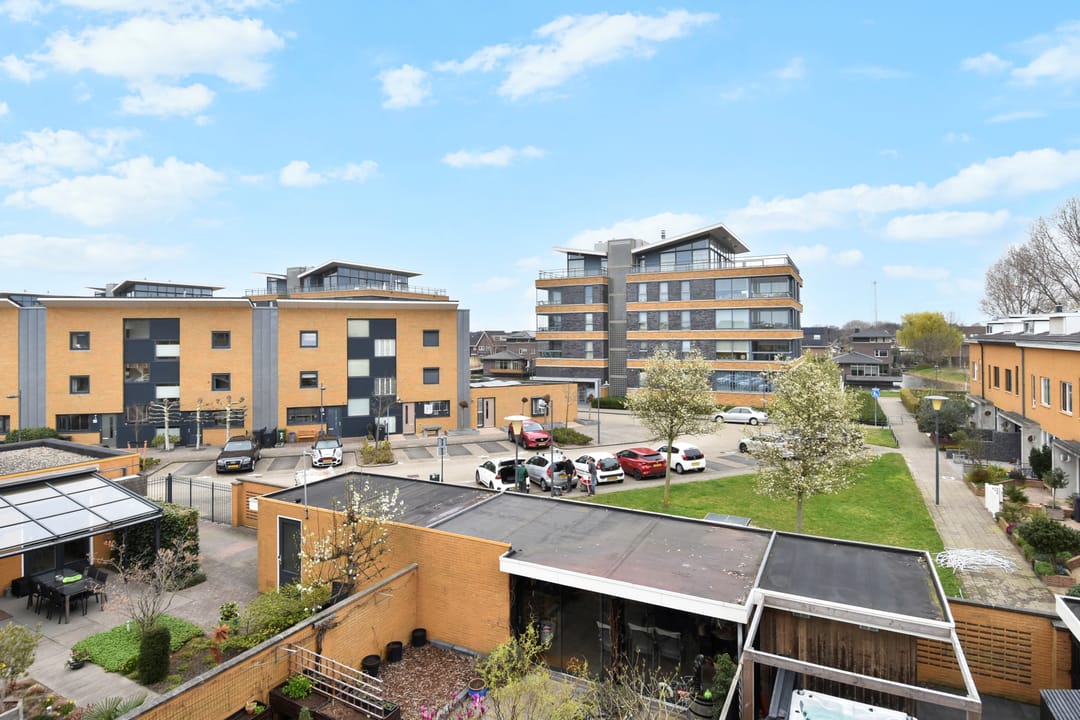 Foto 43 van Zeepaddestoel 3