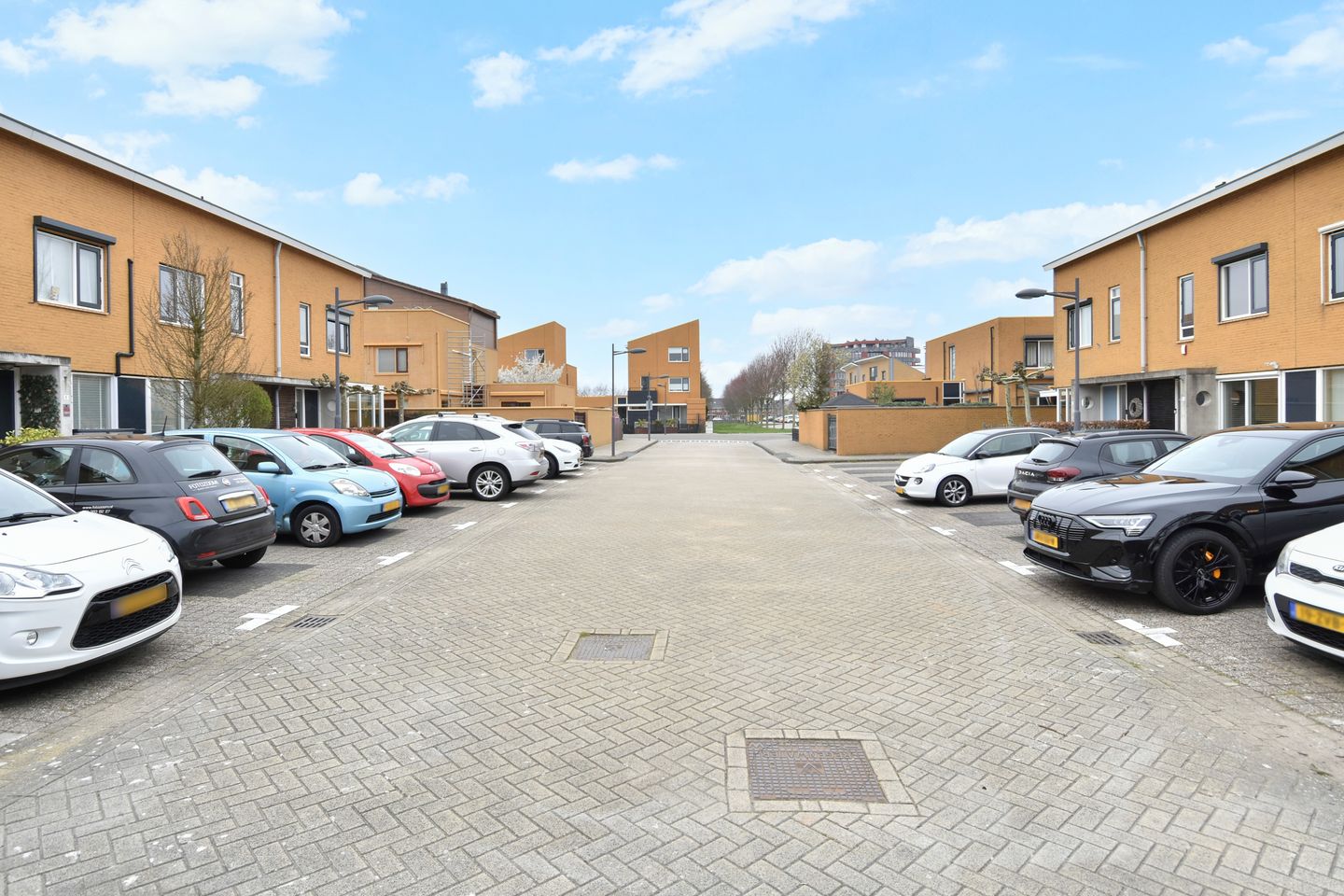 Foto 55 van Zeepaddestoel 3