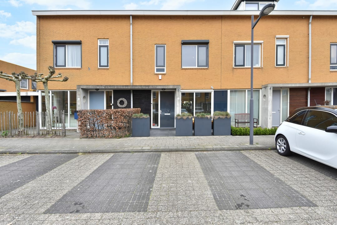 Foto 1 van Zeepaddestoel 3