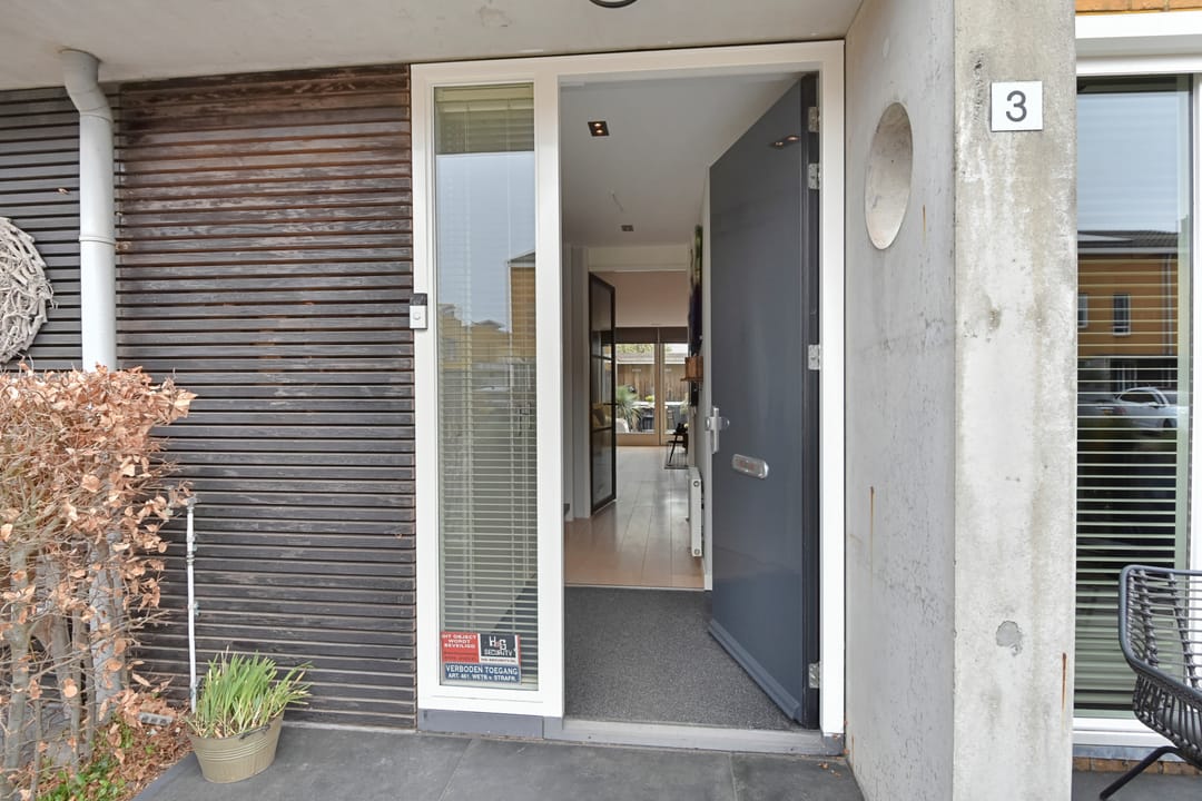 Foto 7 van Zeepaddestoel 3