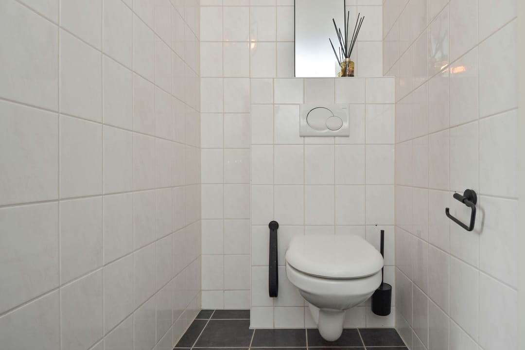 Foto 32 van Zeepaddestoel 3