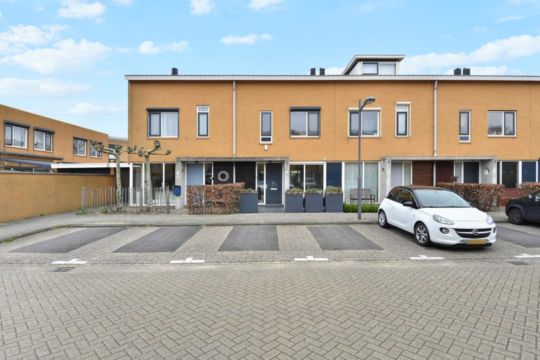 Foto 56 van Zeepaddestoel 3