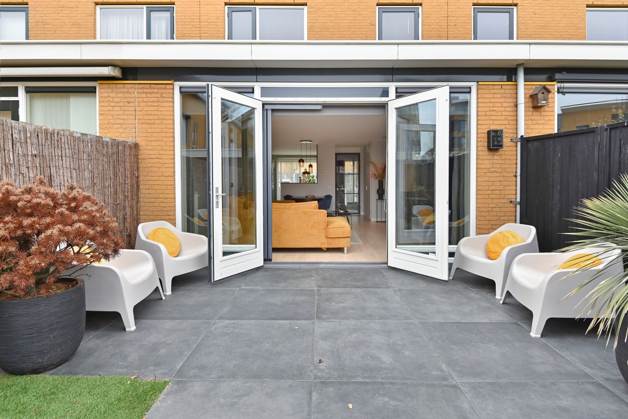 Foto 51 van Zeepaddestoel 3